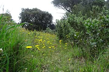 Comencem a conèixer la serralada litoral! educació ambiental monatur COMENCEM A CONÈIXER LA SERRALADA LITORAL!