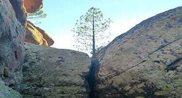 Disfruta la natura amb Monatur