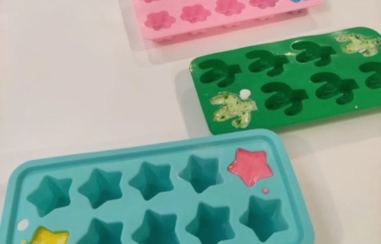 Disseny de projectes educatius de medi ambient