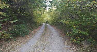 Tallers de edudació a l'escola de monatur