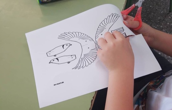 Taller d'educaci&oacute; ambiental a una escola de la prov&iacute;ncia de Barcelona