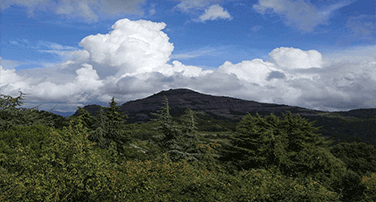 Tallers i xerrades d'aprenentatge i servei per l'escola de la mà de monatur