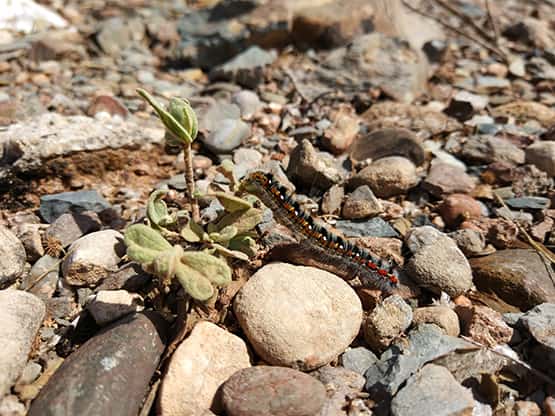 Monatur connecta amb el medi ambient